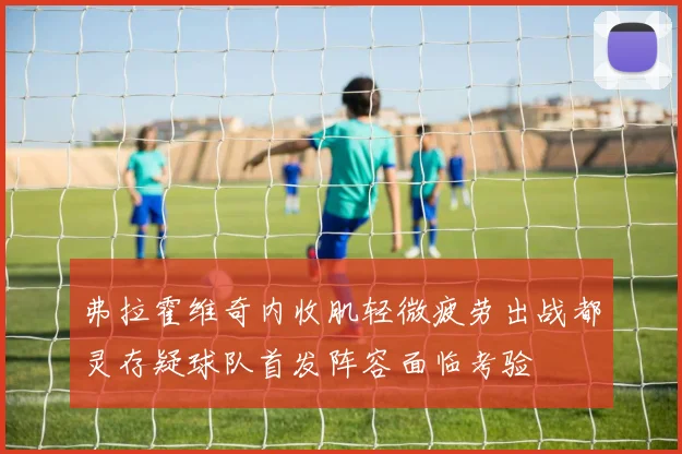 弗拉霍维奇内收肌轻微疲劳出战都灵存疑球队首发阵容面临考验