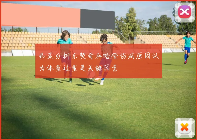 弗莱分析东契奇和哈登伤病原因认为体重过重是关键因素