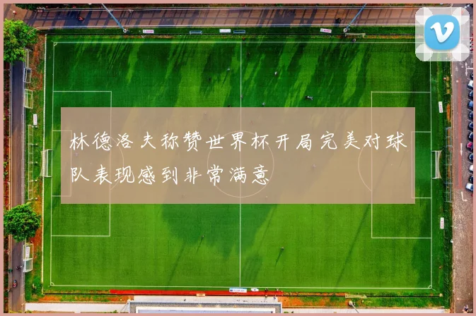 林德洛夫称赞世界杯开局完美对球队表现感到非常满意